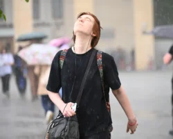 Солнечные дни и теплые дожди ожидают Москву в начале лета solnechnye dni i teplye dozhdi ozhidayut moskvu v nachale leta-t-nw-ru-174869299000-0