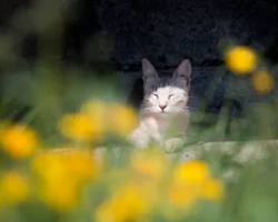 Свежий прогноз погоды в весенние дни для Владивостока, Уссурийска и Находки svezhij prognoz pogody v vesennie dni dlya vladivostoka ussurijska i nahodki-t-nw-ru-174698538300-0