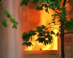 Традиции и обычаи на Епифания Кипрского в Рябиновке и Красном Кафтане tradiczii i obychai na epifaniya kiprskogo v ryabinovke i krasnom kaftane-t-nw-ru-174786227400-0