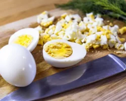 Университет штата Северная Каролина предлагает новый взгляд на влияние белка на микробиоту universitet shtata severnaya karolina predlagaet novyj vzglyad na vliyanie belka na mikrobiotu-t-nw-ru-174710066000-0