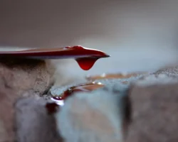 В Гамбурге задержали подозреваемого в нападении на вокзале, 12 пострадавших v gamburge zaderzhali podozrevaemogo v napadenii na vokzale 12 postradavshih-t-nw-ru-174802197500-0