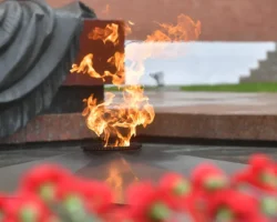 В Воронеже задержан мужчина, поджегший цветы у мемориала Славы v voronezhe zaderzhan muzhchina podzhegshij czvety u memoriala slavy-t-nw-ru-174741429400-0