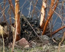 Виталий Мосин рассказывает о змеях Московской области на весенних встречах vitalij mosin rasskazyvaet o zmeyah moskovskoj oblasti na vesennih vstrechah-t-nw-ru-174616655300-0