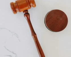 Вячеслав Гладков отметил наличие надежных компаний в Белгородской области vyacheslav gladkov otmetil nalichie nadezhnyh kompanij v belgorodskoj oblasti-t-nw-ru-174777259700-0