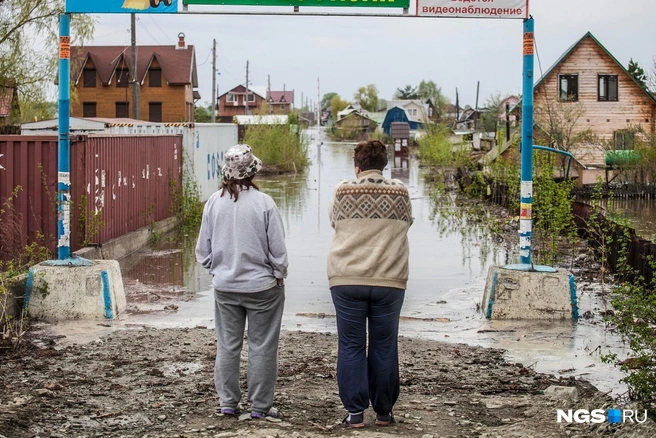 Люди могут лишиться дачи, если будут использовать землю не по назначению | Источник: Татьяна Фатеева / NGS.RU