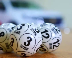 denis z i aleksandr kuryaev oderzhali udivitelnye pobedy v igrah-t-nw-ru-174888502500-0