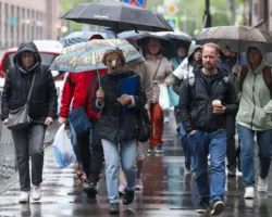 Гидрометцентр РФ прогнозирует комфортную погоду для Москвы и Подмосковья gidrometczentr rf prognoziruet komfortnuyu pogodu dlya moskvy i podmoskovya-t-nw-ru-174891918500-0