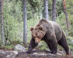 Краевая клиническая больница №2 Владивостока спасла мужчину из села Ленино в Приморье kraevaya klinicheskaya bolnicza 2 vladivostoka spasla muzhchinu iz sela lenino v primore-t-nw-ru-174887972300-0