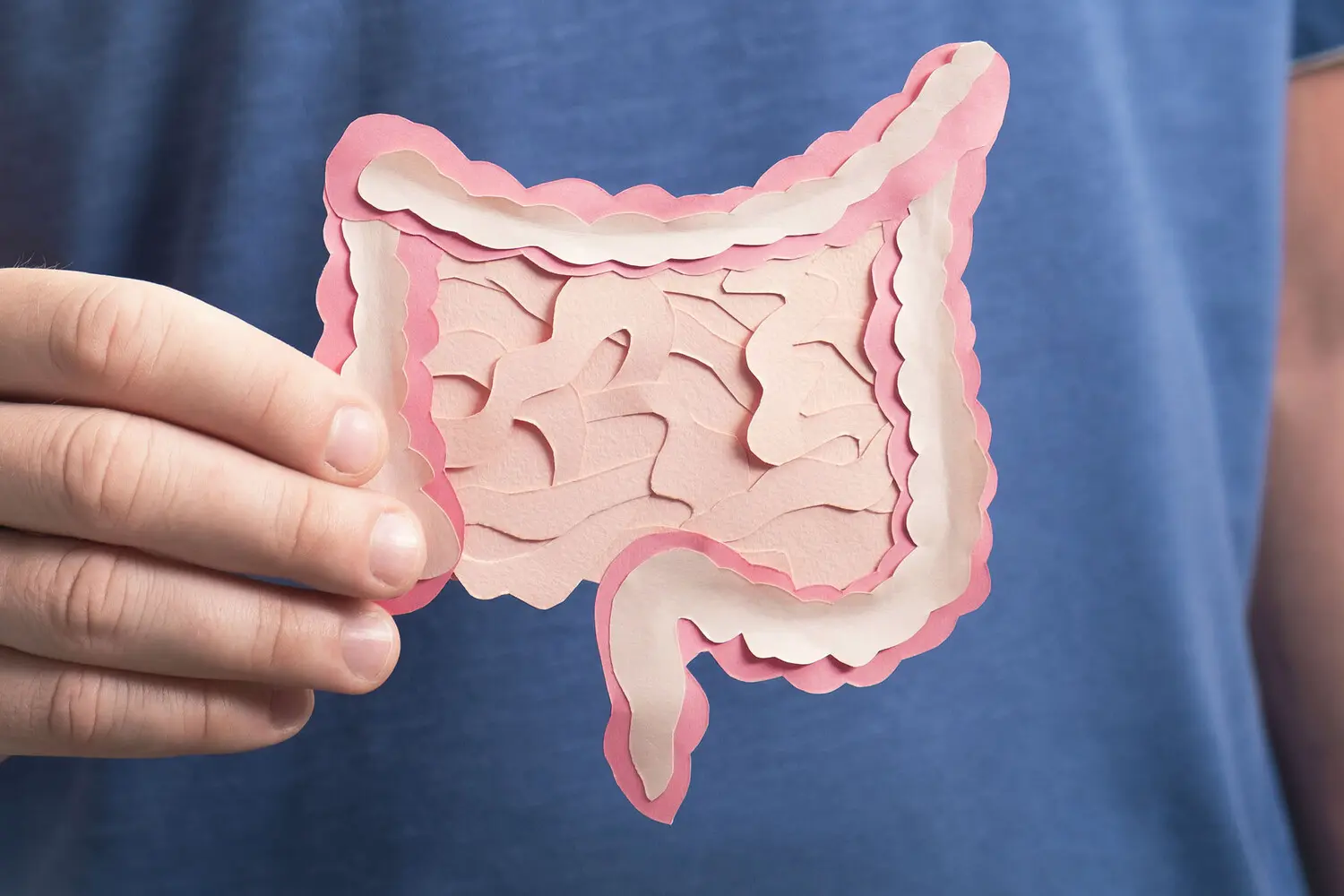 Удивительное открытие связано с рецепторами долголетия TAS2R5 и TAS2R38 в кишечнике-0