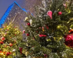 zimnij uhod za kozhej ot svetlany yumanovoj pomogaet sohranit molodost-t-nw-ru-0