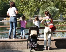 Анатолий Аксаков и Владимир Путин обсуждают перспективы ПДС и маткапитала anatolij aksakov i vladimir putin obsuzhdayut perspektivy pds i matkapitala-t-nw-ru-0