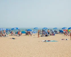 Что изменилось для отдыхающих в Находкинском округе и Ливадии chto izmenilos dlya otdyhayushhih v nahodkinskom okruge i livadii-t-nw-ru-0