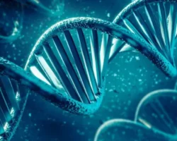 Google DeepMind и AlphaGenome реализуют революцию в понимании 98% ДНК i realizuyut revolyucziyu v ponimanii 98 dnk-t-nw-ru-0