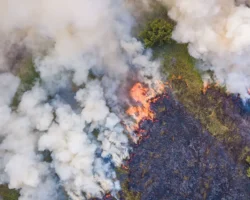 Как вернуть деньги за тур в Турцию из-за пожаров с Игорем Блиновым kak vernut dengi za tur v turcziyu izza pozharov s igorem blinovym-t-nw-ru-0