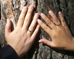 Необыкновенные судьбы Александра Герцена и Натальи Захарьиной neobyknovennye sudby aleksandra gerczena i natali zaharinoj-t-nw-ru-0