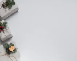 Ольга Кузнецова объясняет, как ФинБорд поможет сохранить бюджет в праздники olga kuzneczova obyasnyaet kak finbord pomozhet sohranit byudzhet v prazdniki-t-nw-ru-0