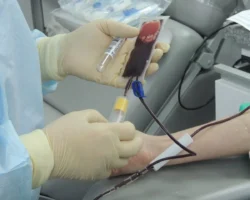 Онкологический центр UVA добился успеха в пересадке с циклофосфамидом onkologicheskij czentr dobilsya uspeha v peresadke s cziklofosfamidom-t-nw-ru-0