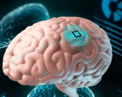 Прорыв Сеченовского Университета в борьбе с глиобластомой с помощью «мозга-на-чипе» proryv sechenovskogo universiteta v borbe s glioblastomoj s pomoshhyu mozganachipe-t-nw-ru-0