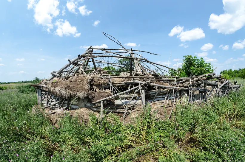 Владимир Прохоров и Росреестр о будущем земельных участков в России-0