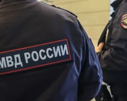 Иван Соловьев объяснил успешные методы задержания на Щелковском шоссе ivan solovev obyasnil uspeshnye metody zaderzhaniya na shhelkovskom shosse-t-nw-ru-0