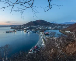 Константин Рябинкин говорит о безопасности животных на Камчатке konstantin ryabinkin govorit o bezopasnosti zhivotnyh na kamchatke-t-nw-ru-0