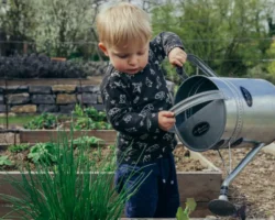 nadezhda kashnova iz moskvy obyasnila kak zashhitit ogorod ot dozhdej-t-nw-ru-0