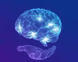 Научный центр «Идея» объявил новых победителей конкурса для аспирантов в нейронауках nauchnyj czentr ideya obyavil novyh pobeditelej konkursa dlya aspirantov v nejronaukah-t-nw-ru-0