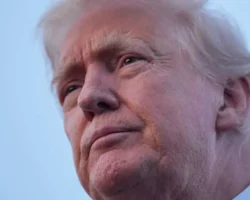 sigal i fridman issleduyut ugrozu kognitivnyh narushenij dlya trampa-t-nw-ru-0