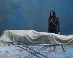 Университет Гринвича и Имперский колледж Лондона изучают действие ДМТ universitet grinvicha i imperskij kolledzh londona izuchayut dejstvie dmt-t-nw-ru-0