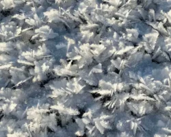 Уральский федеральный университет и Дмитрий Александров реализуют проект Российского научного фонда в материаловедении uralskij federalnyj universitet i dmitrij aleksandrov realizuyut proekt rossijskogo nauchnogo fonda v materialovedenii-t-nw-ru-0