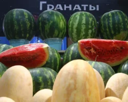 Юлия Онуфрийчук и Екатерина Демьяновская о безопасности арбузов для пожилых yuliya onufrijchuk i ekaterina demyanovskaya o bezopasnosti arbuzov dlya pozhilyh-t-nw-ru-0