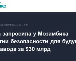 ekspansiya i otkryvaet novyj etap investiczij v spg v mozambike-t-nw-ru-0