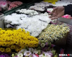 Ксения Корзан из Контур.Маркет провела анализ цветов из Эквадора и Голландии kseniya korzan iz konturmarket provela analiz czvetov iz ekvadora i gollandii-t-nw-ru-0