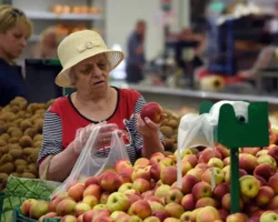 Леонид Ардалионов и ЕЭК обсуждают оптимистичные перспективы рынка яблок leonid ardalionov i eek obsuzhdayut optimistichnye perspektivy rynka yablok-t-nw-ru-0