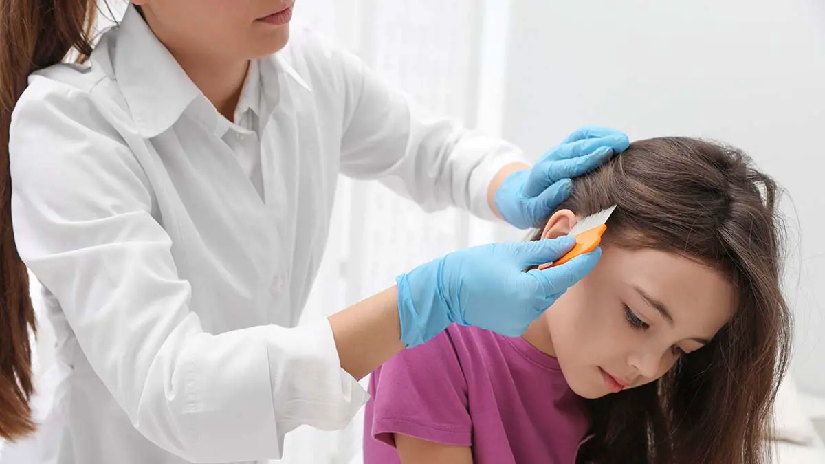 Врач предупредила о росте заболеваемости лишаем и вшами в начале учебного года