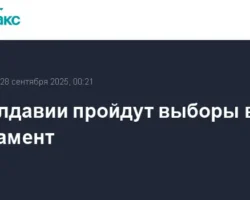 Парламентские выборы в Молдавии и их значение для ЦИК, партий и лидеров parlamentskie vybory v moldavii i ih znachenie dlya czik partij i liderov-t-nw-ru-0