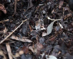 ПНИПУ и Наталья Слюсарь работают над инновациями в переработке иловых отходов pnipu i natalya slyusar rabotayut nad innovacziyami v pererabotke ilovyh othodov-t-nw-ru-0