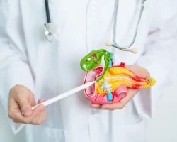 Профессор Дэвид Череш предлагает новый взгляд на агрессивный рак с помощью STAT3 и ITGB3 professor devid cheresh predlagaet novyj vzglyad na agressivnyj rak s pomoshhyu 3 i 3-t-nw-ru-0