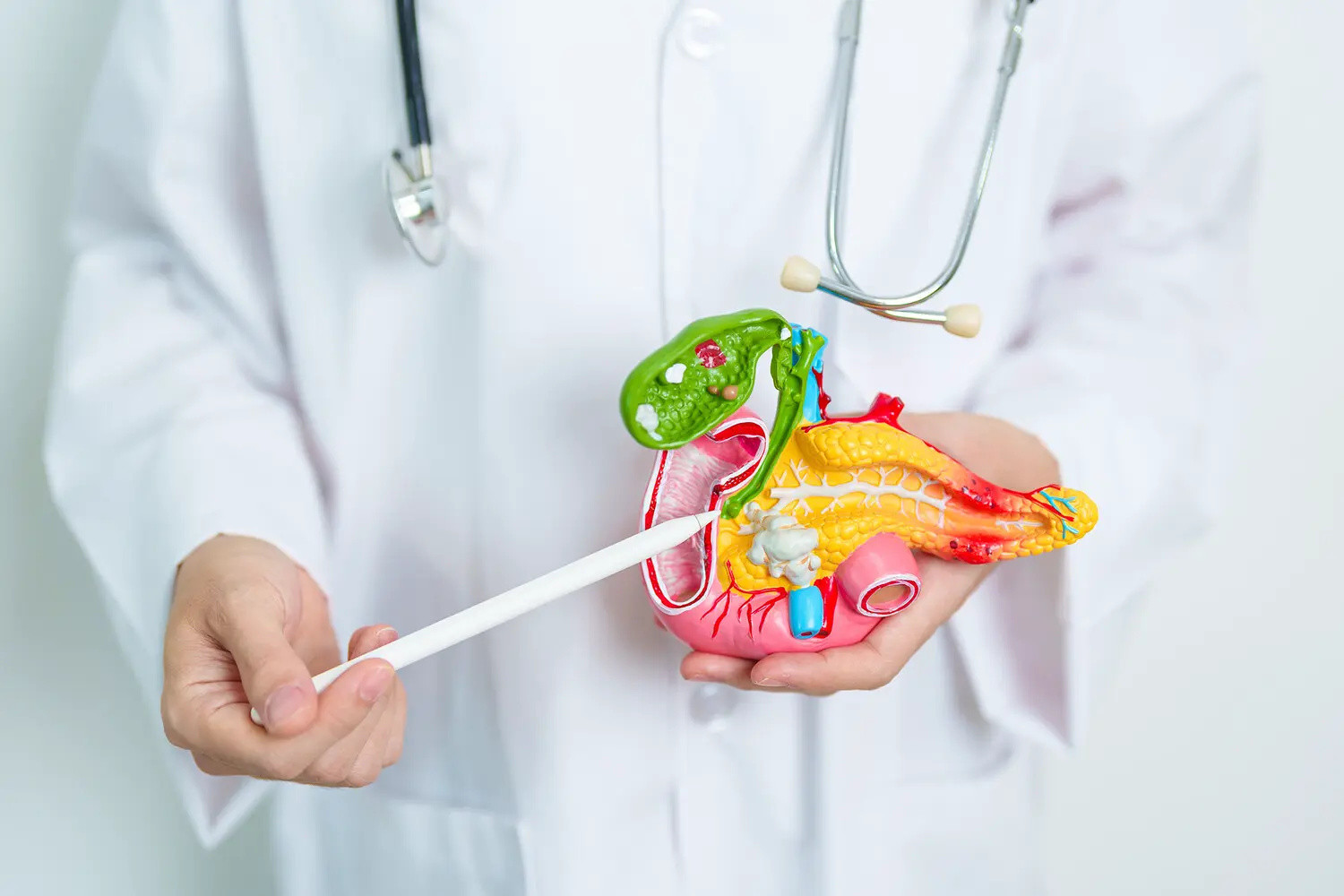 Профессор Дэвид Череш предлагает новый взгляд на агрессивный рак с помощью STAT3 и ITGB3-0