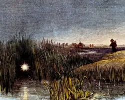 Ричард Заре из Стэнфордского университета объяснил загадку болотных огоньков richard zare iz stenfordskogo universiteta obyasnil zagadku bolotnyh ogonkov-t-nw-ru-0