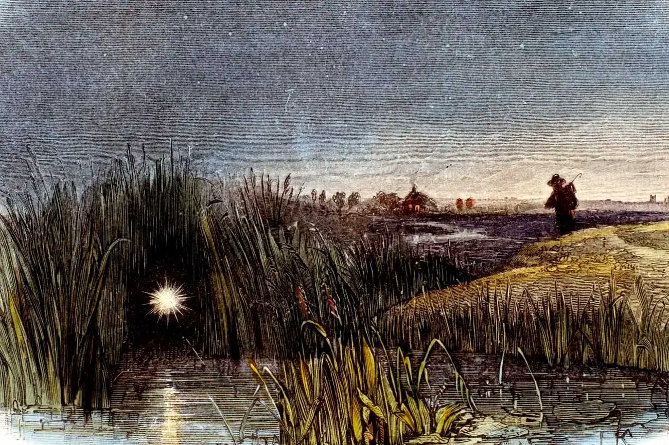 Ричард Заре из Стэнфордского университета объяснил загадку болотных огоньков-0