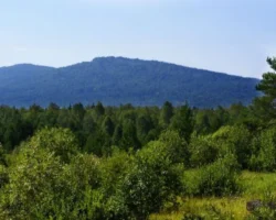 Синяя гора и Кудрявый камень являются жемчужинами Большой уральской тропы sinyaya gora i kudryavyj kamen yavlyayutsya zhemchuzhinami bolshoj uralskoj tropy-t-nw-ru-0