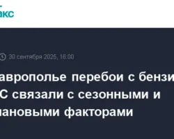Ставропольский край динамично решает локальные перебои с бензином на АЗС stavropolskij kraj dinamichno reshaet lokalnye pereboi s benzinom na azs-t-nw-ru-0