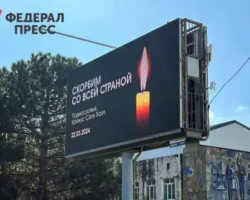 Юрист Александр Хаминский заявил о незаконности ареста имущества Агаларовых yurist aleksandr haminskij zayavil o nezakonnosti aresta imushhestva agalarovyh-t-nw-ru-0