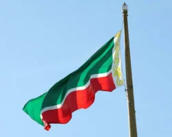 Амир Сугаипов рассказывает о платках как символе красоты чеченок amir sugaipov rasskazyvaet o platkah kak simvole krasoty chechenok-t-nw-ru-0