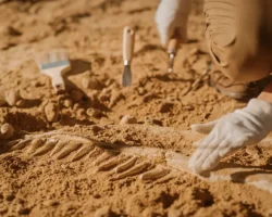 Археологи раскрыли тайну мерянского топора в Ростове Великом arheologi raskryli tajnu meryanskogo topora v rostove velikom-t-nw-ru-0