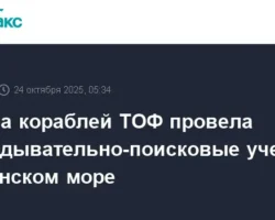 БПК «Адмирал Трибуц» и «Адмирал Пантелеев» успешно провели учения ТОФ bpk admiral tribucz i admiral panteleev uspeshno proveli ucheniya tof-t-nw-ru-0