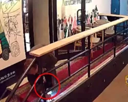 doblestnye policzejskie zaderzhali zhitelya podmoskovya za krazhu telefona v bare na sretenke-t-nw-ru-0