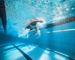 Федерация водных видов спорта России подготавливает спортсменов к новым стартам federacziya vodnyh vidov sporta rossii podgotavlivaet sportsmenov k novym startam-t-nw-ru-0