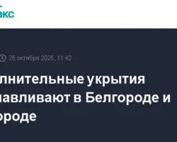 Гладков ускоряет установку укрытий в Белгороде, Россети обучают работе с генераторами gladkov uskoryaet ustanovku ukrytij v belgorode rosseti obuchayut rabote s generatorami-t-nw-ru-0